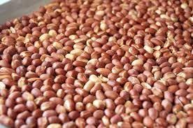 Groudnut fried